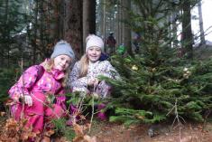 Vánoční stromeček pro lesní zvěř
