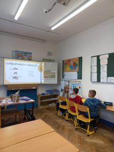 Projekt o včele medonosné