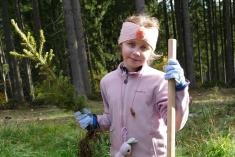 Druháci sázeli smrčky ke Dni stromů