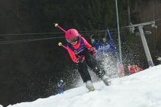 LYŽAŘSKÉ ZÁVODY 17.3.2022 